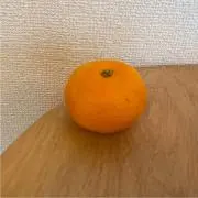 ちさお/断捨離中