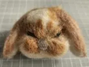 まぁるの画像