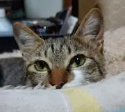 勘太郎