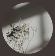 coto༊*·˚の画像