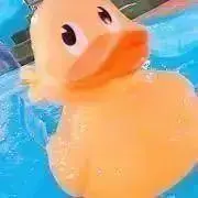 パグ