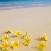 ma☆   ⚠︎値下げ不可⚠︎の画像