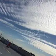 まさお