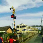 きちの画像