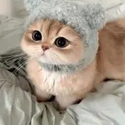 ミルク