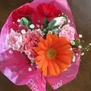 emimoの画像
