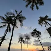 なお