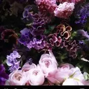 メルの画像