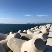 芋の助