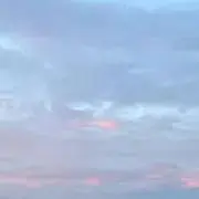 こま