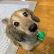 ei10の画像