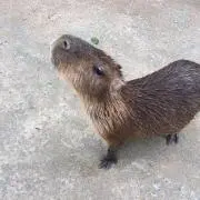 (^^)