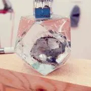 魚