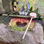みふぃおの画像