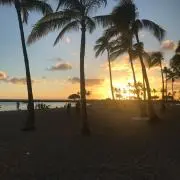 K008300の画像