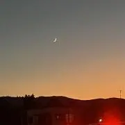 みんとの画像