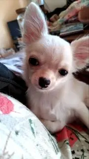 みよ