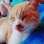 kanaの画像