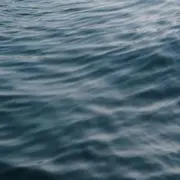 ほっしーこの画像