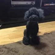 える✴︎の画像
