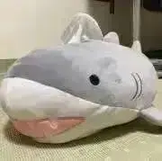 yumaの画像
