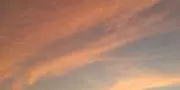 チャッピーの画像