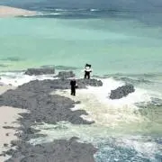 マエタの画像