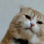 みるくんの画像