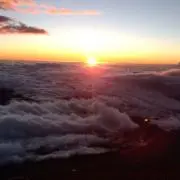 ハナ蔵の画像