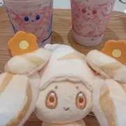 ショコラの画像