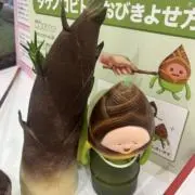 ぽの画像