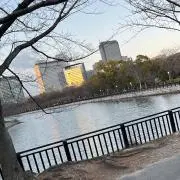 あここねこの画像