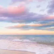 mimiの画像