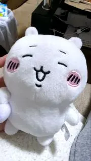 ハチワレの画像