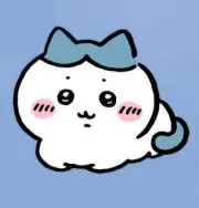 Yamyamの画像