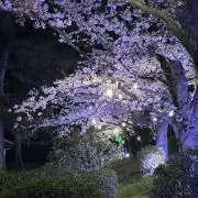 ぬな　値下げ交渉大歓迎‼️の画像