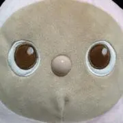 †ヴァイス†の画像