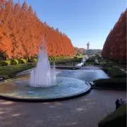 DANAの画像