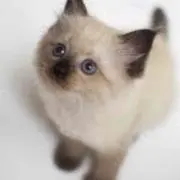 じゅん