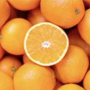 オレンジ プロフ必読の画像