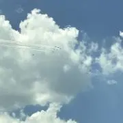 もやしの画像