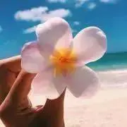 おまとめ割歓迎◎さよりの画像