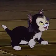 Figaroの画像