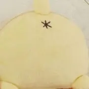 aruの画像