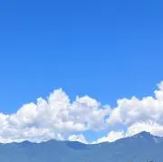 はな