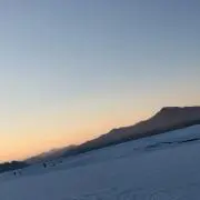 まーるの画像