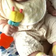teresaの画像