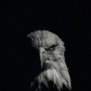 なんとかなるの画像