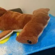 ちろるの画像