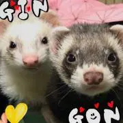 てぃんちょ